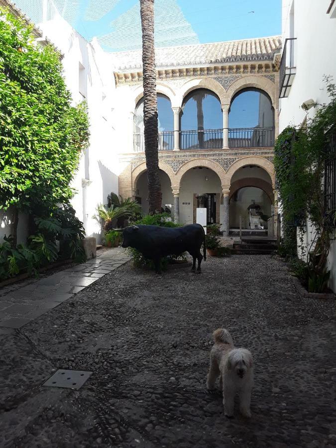 Beside The Roman Wall Apartment Cordoba Exterior photo